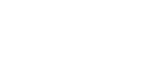 Conquering Risk - conference logo